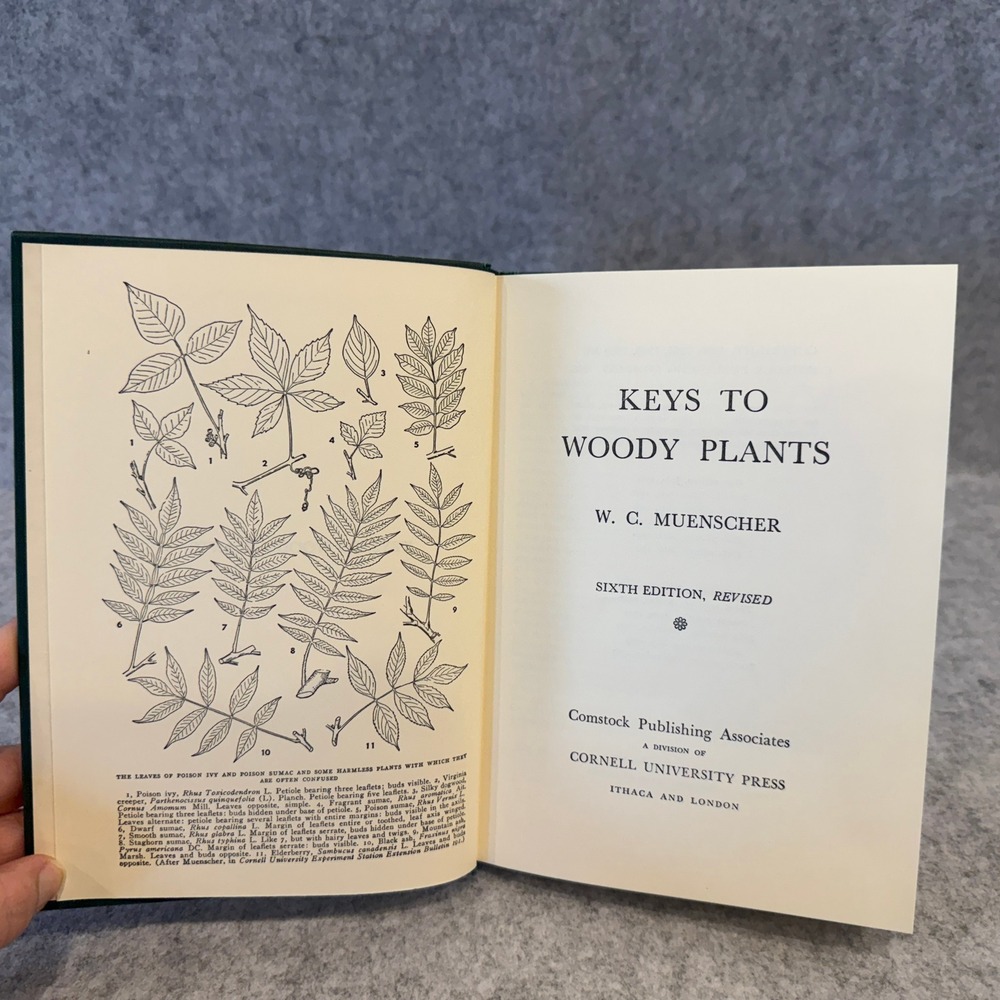Keys to Woody Plants by Walter C. Muenscher - Identification of Trees and Shrubs